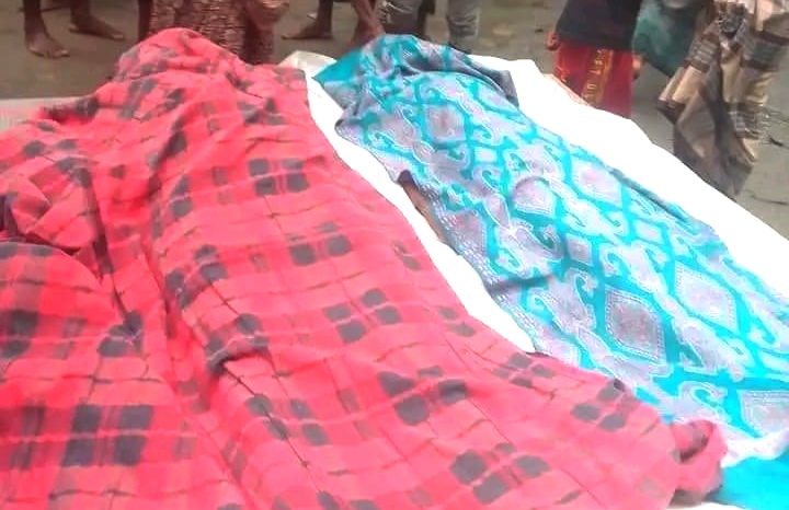 ধর্মপাশায় হাওরের পানিতে ডুবে বউ শ্বাশুড়ির মৃত্যু 