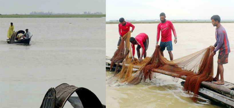 হাওরে মাছ নেই, বিপাকে জেলেরা