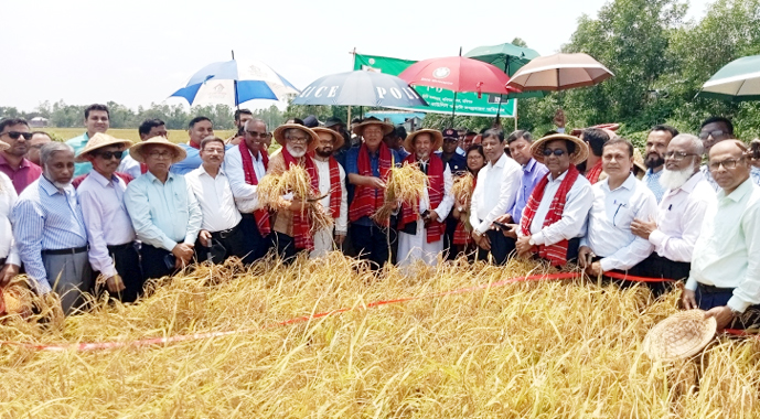 ধানের দালালরাও অর্থনীতির অংশ : কৃষিমন্ত্রী 