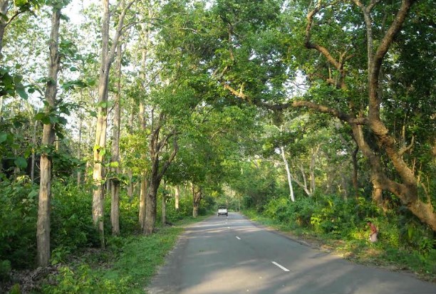 হবিগঞ্জের ১৩ কিলোমিটার সড়কে রাতে চলতে নিষেধ
