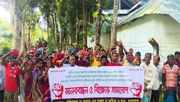 বড়লেখায় ৫০০ টাকা মজুরির দাবিতে চা শ্রমিকদের বিক্ষোভ