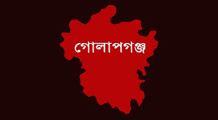 গোলাপগঞ্জে দেশীয় পাইপ'গান উদ্ধার