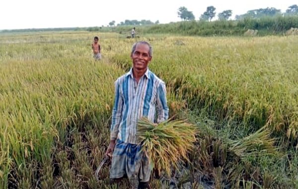  বন্যা, ঝড় ও শিলাবৃষ্টির শঙ্কায় গোয়াইনঘাটের কৃষকরা