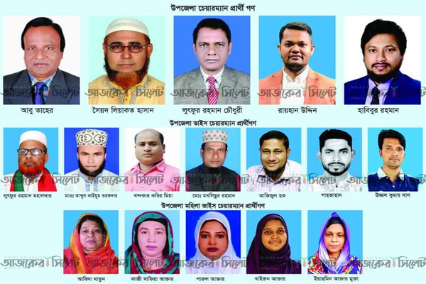 চুনারুঘাটে মনোনয়ন জমা দিলেন ১৭ প্রার্থী