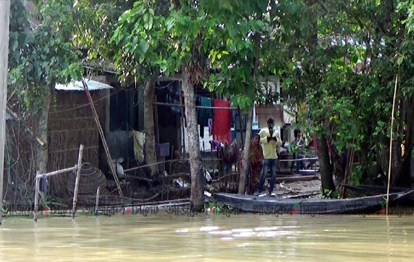 ওসমানীনগরে অর্ধশতাধিক গ্রাম প্লাবিত