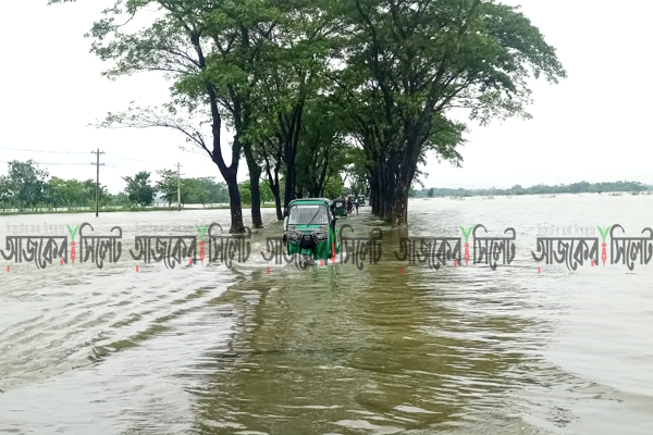 গোয়াইনঘাটে ফের বন্যা, যোগাযোগ বিচ্ছিন্ন