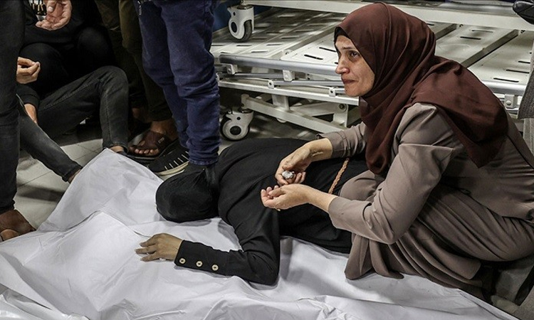 গাজায় হামলা ও অনাহারে আরও ৬৩ মৃত্যু