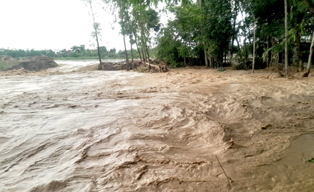 জকিগঞ্জে ডাইক ভেঙে অর্ধশত গ্রাম প্লাবিত
