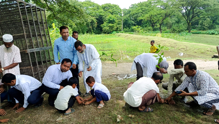 জাতীয় প্রাথমিক শিক্ষা পদক-২০২৬ উপলক্ষে দিরাইয়ে বৃক্ষরোপণ কর্মসূচির উদ্বোধন