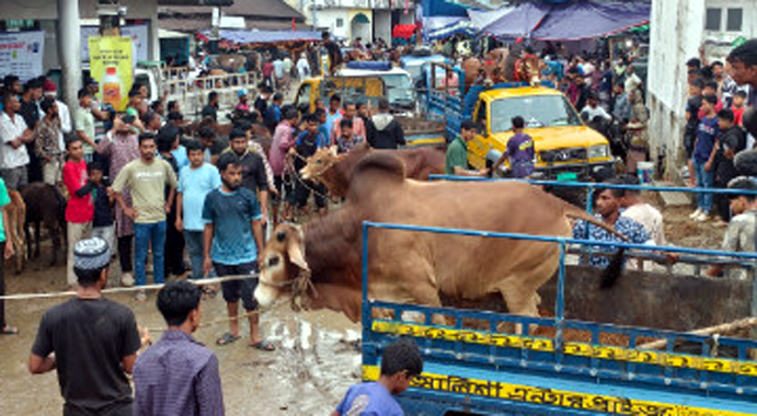 পশুর হাটে ক্রেতা সমাগম, তবুও শঙ্কায় খামারিরা