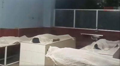 শ্রীমঙ্গলের হরিণছড়া চা বাগানে ৪ তরুণের মৃত্যু