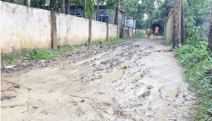 কবে পাকা হবে বেরী গ্রামের রাস্তা?