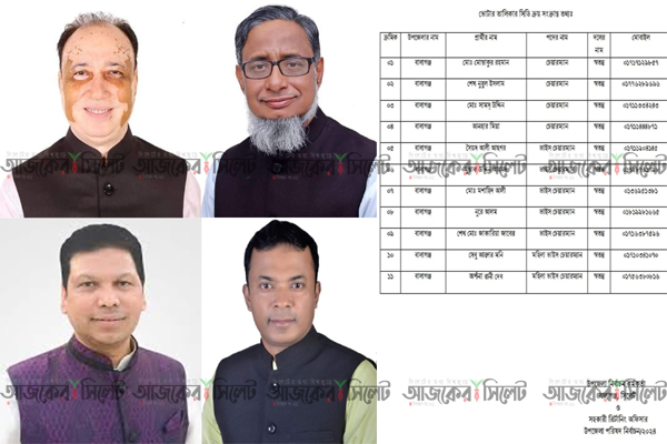 বালাগঞ্জে নির্বাচনে তিন পদে মনোনয়ন জমা দিয়েছেন ১১ জন 