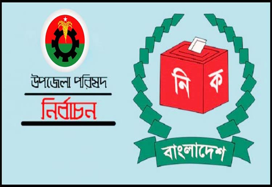 উপজেলা নির্বাচন নিয়ে কৌশলী বিএনপি
