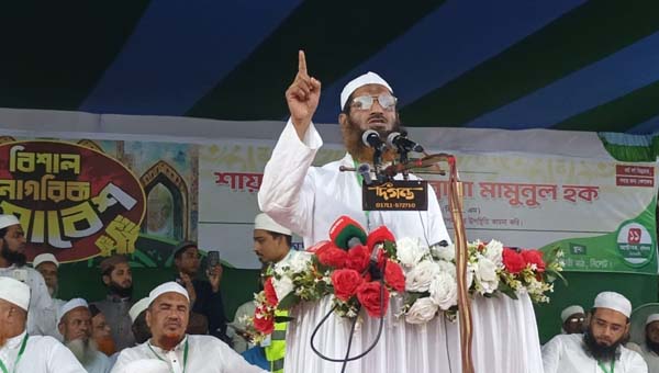 &lsquo;গণভোটের রায় উপেক্ষা করলে রাজনৈতিকভাবে আত্মঘাতী হবে&rsquo;: মামুনুল হক