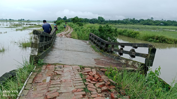 গোয়াইনঘাটে ঝুঁকিপূর্ণ ব্রিজের ওপর দিয়ে কদমতলা গ্রামবাসীর যাতায়াত