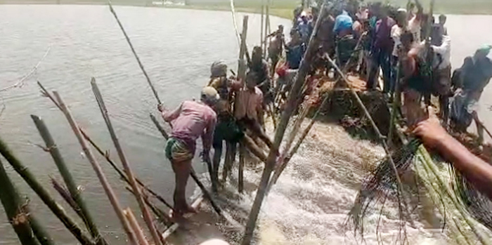 বাঁধ ভেঙে ডুবছে &lsquo;দেখার হাওরে&rsquo;, ধান রক্ষার লড়াই