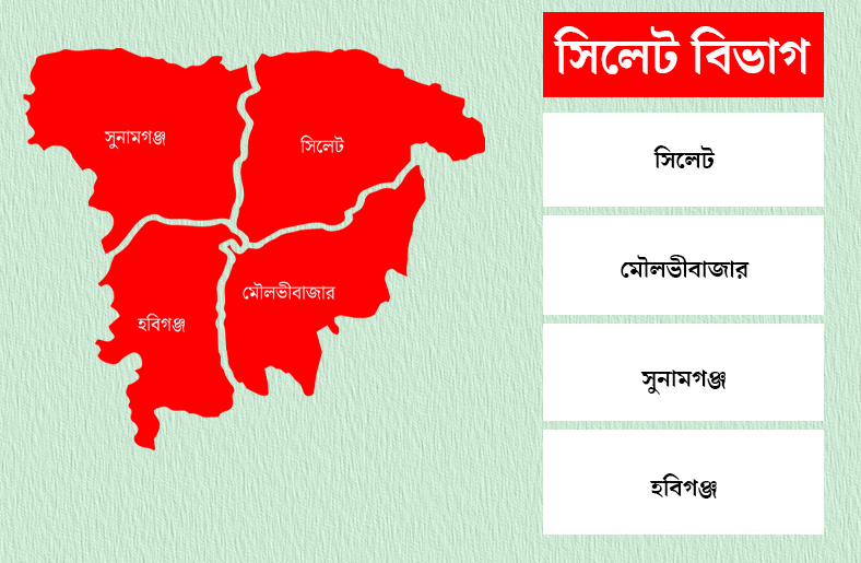 জানুয়ারিতে সড়ক দুর্ঘটনায় নিহত ২৫