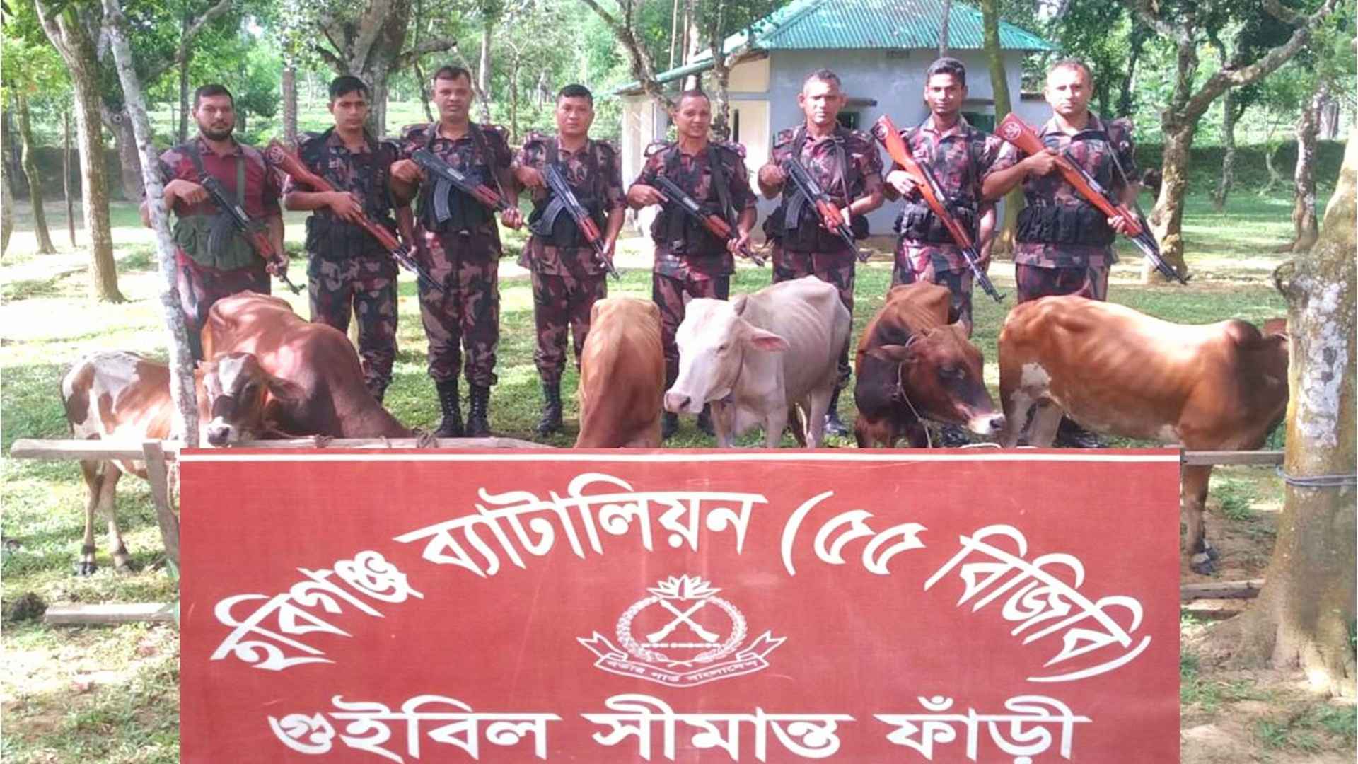 হবিগঞ্জে বিজিবির অভিযানে ৭০ লাখ টাকার ভারতীয় পণ্য ও মাদক জব্দ