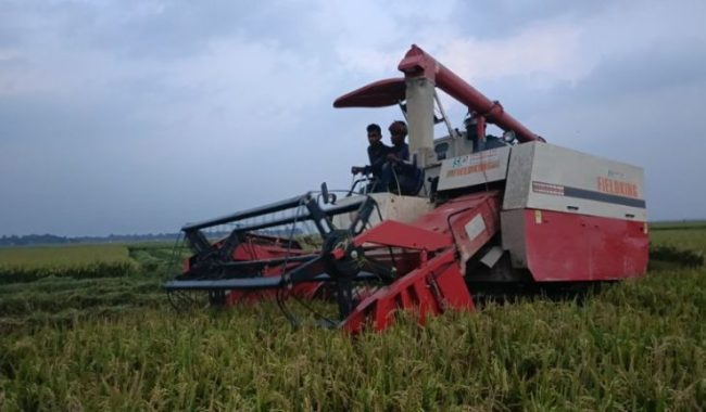 সুনামগঞ্জের হাওরে &lsquo;যাদুর মেশিন&rsquo;, স্বস্তিতে কৃষকরা