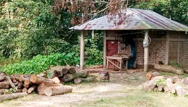 মৌলভীবাজারে করাতকল ঘিরে বন উজাড়ের অভিযোগ