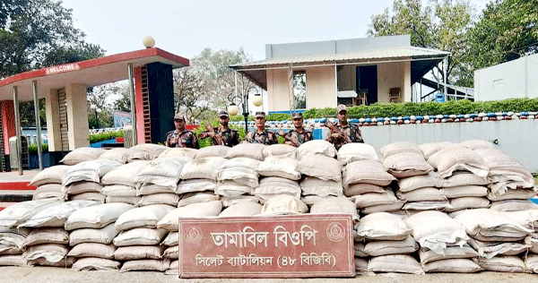 সিলেট সীমান্তে বিপুল পরিমাণ ফল-মাদক জব্দ : আটক ১
