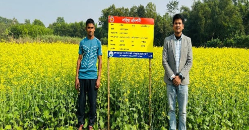 চুনারুঘাটে রবি ফসল বারি সরিষার হলুদ বিপ্লব 