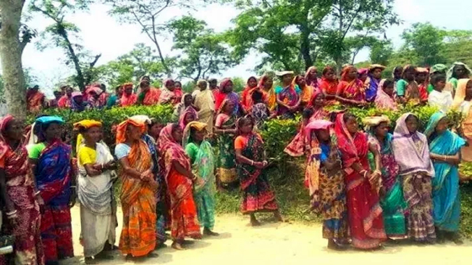 মানবেতর জীবনযাপন করছেন গুলনী চা বাগানের শ্রমিকদের 