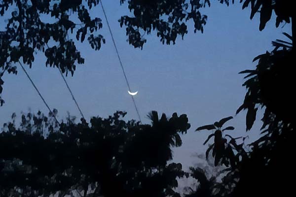 শাওয়ালের চাঁদ দেখা গেছে, কাল ঈদ