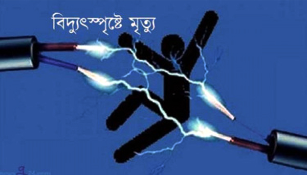 ফেঞ্চুগঞ্জে বিদ্যুৎস্পৃষ্ট  হয়ে কিশোর নিহত