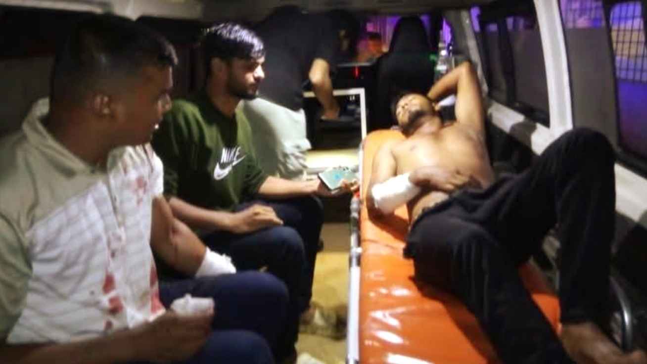 লাউয়াছড়ায় রাস্তায় গাছ ফেলে ডাকাতি