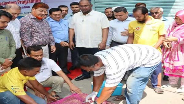 সিলেটে সাড়ে ৪ হাজার কুকুরকে জলাতঙ্কের টিকা দেওয়ার কর্মসূচি শুরু