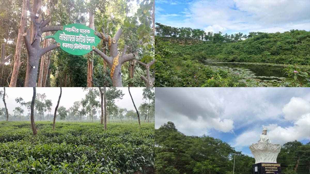 পর্যটন খাতে নির্বাচনি প্রতিশ্রুতি, প্রত্যাশায় ভোটাররা