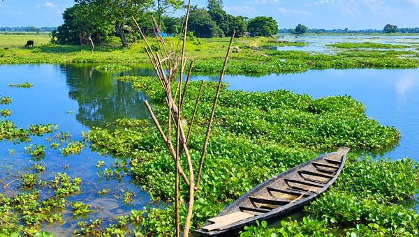 পৌর শহরের কাছেই ৪০ পরিবার, রাত কাটে হারিকেনের আলোয়