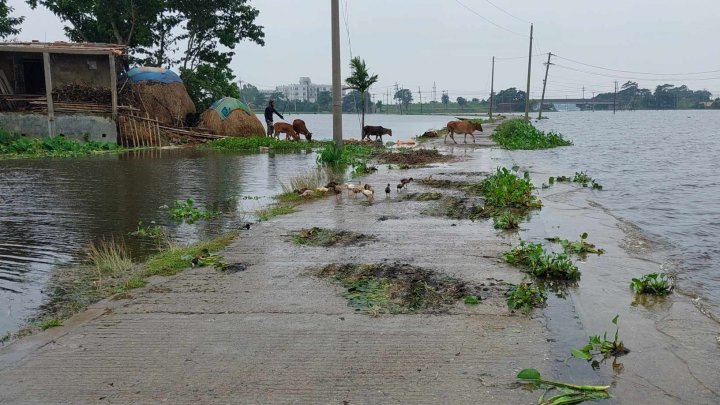 রোদ ঝলমলে আকাশ নিয়ে স্বস্তিতে সুনামগঞ্জবাসী
