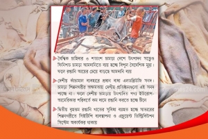 সংকটে চামড়া খাত, পর্যাপ্ত জোগানেও বন্ধ হচ্ছে না আমদানি
