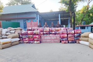 সিলেট সীমান্তে প্রায় সাড়ে ৩ কোটি টাকার চোরাই পণ্য জব্দ