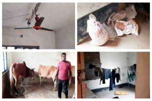 উপজেলা চেয়ারম্যানের বাসভবন এখন ‘গোয়ালঘর’