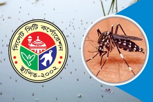 বাড়ছে মশার উপদ্রব, অতিষ্ট নগরবাসী
