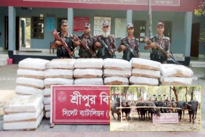 সিলেট সীমান্তে চাল-পশু জব্দ