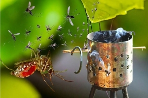 মশা তাড়ানোর ঘরোয়া উপায়