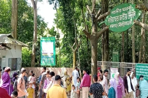 লাউয়াছড়ায় পর্যটকের উপচে পড়া ভিড়