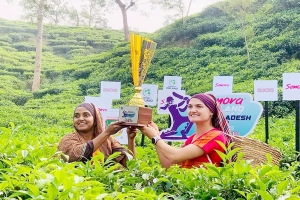 মালনীছড়া চা বাগানে টি-টোয়েন্টি সিরিজের ট্রফি উন্মোচন 