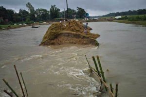 মধ্যনগরে ভেঙেছে বাঁধ, ডুবছে ইকড়াছই হাওরের পাকা ধান