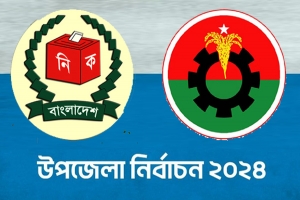 দল নেই, তবুও নির্বাচনে বিএনপির ৭ নেতা