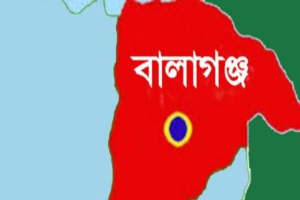 বালাগঞ্জে জলমহালে হাইকোর্টের নিষেধাজ্ঞা অমান্য, মাছ লুটের অভিযোগ