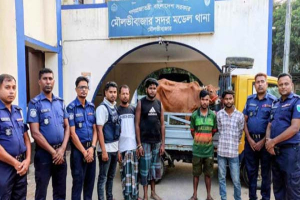 সিসিটিভির সূত্রে মৌলভীবাজারে চুরি হওয়া দুই গরু উদ্ধার, আটক ৪