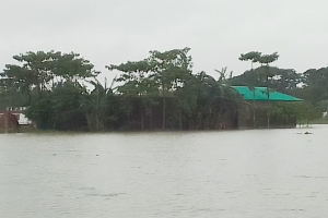 বড়লেখায় নিম্নাঞ্চল প্লাবিত, পানিবন্দি ৫ সহশ্রাধিক মানুষ