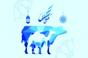 ভাগে কোরবানি দিলে মানতে হবে যেসব বিধান