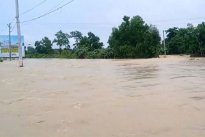 মৌলভীবাজারে বন্যায় প্রাণিসম্পদের ক্ষয়ক্ষতি প্রায় ৮৪ লাখ টাকা